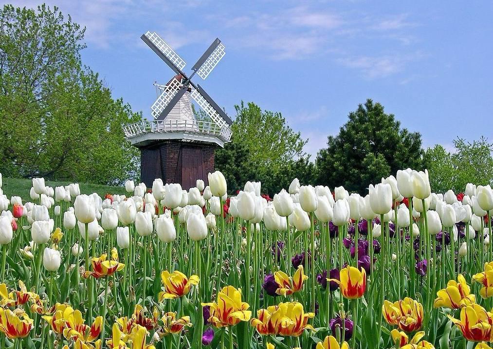 賞花季—德法意瑞4國踏春之旅