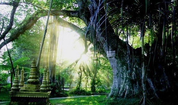 《豪門盛宴》昆大麗、版納豪華8日游