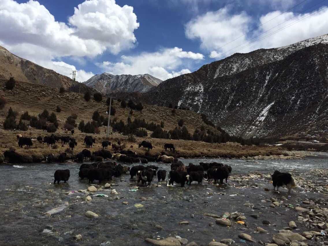 【相約大峽谷】拉薩、布達拉宮、林芝臥飛9日游
