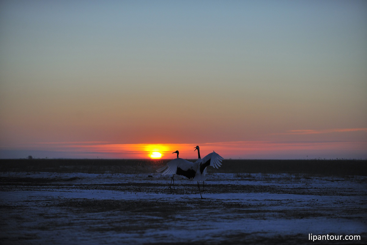 哈爾濱太陽島、扎龍濕地觀鶴、五大連池5日游