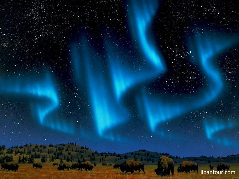 哈爾濱、漠河、731部隊、東北游學(xué)考察6日游