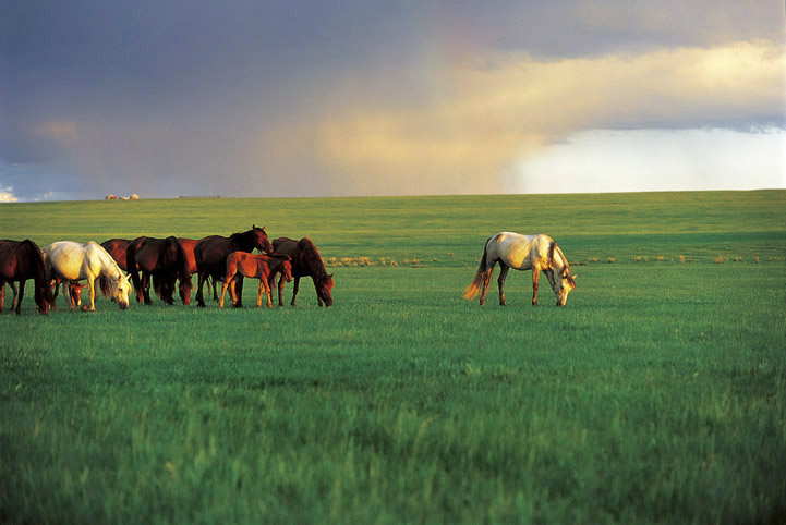 希拉穆仁草原、銀肯響沙