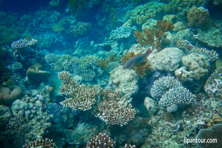 2019年新西蘭最新特價_新西蘭旅游報價_10天南北島一價全含