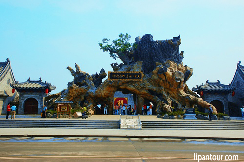 洪洞大槐樹(shù)、壺口瀑布、