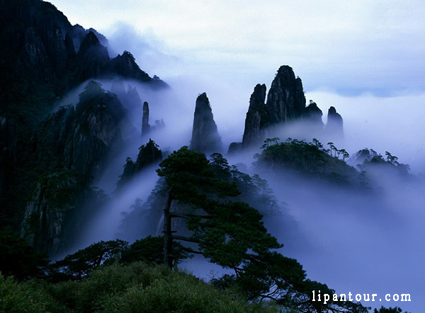 廬山觀候鳥、泡溫泉雙臥四日游
