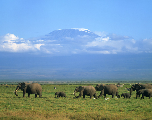 肯尼亞、坦桑尼亞16天探索神秘東非之旅