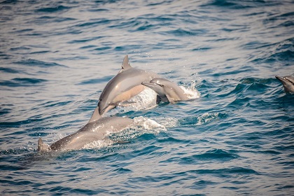 純凈世界-北歐四國雙峽灣11日游一價全含