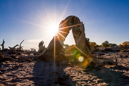 探秘額濟(jì)納-純粹深度游玩胡楊林7日游